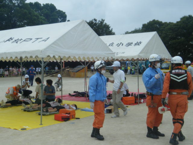 q16