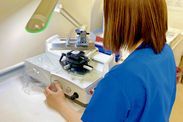 pathological examination3