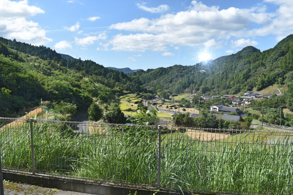 landscape telemedicine